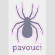 fotografie pavouk.jpg